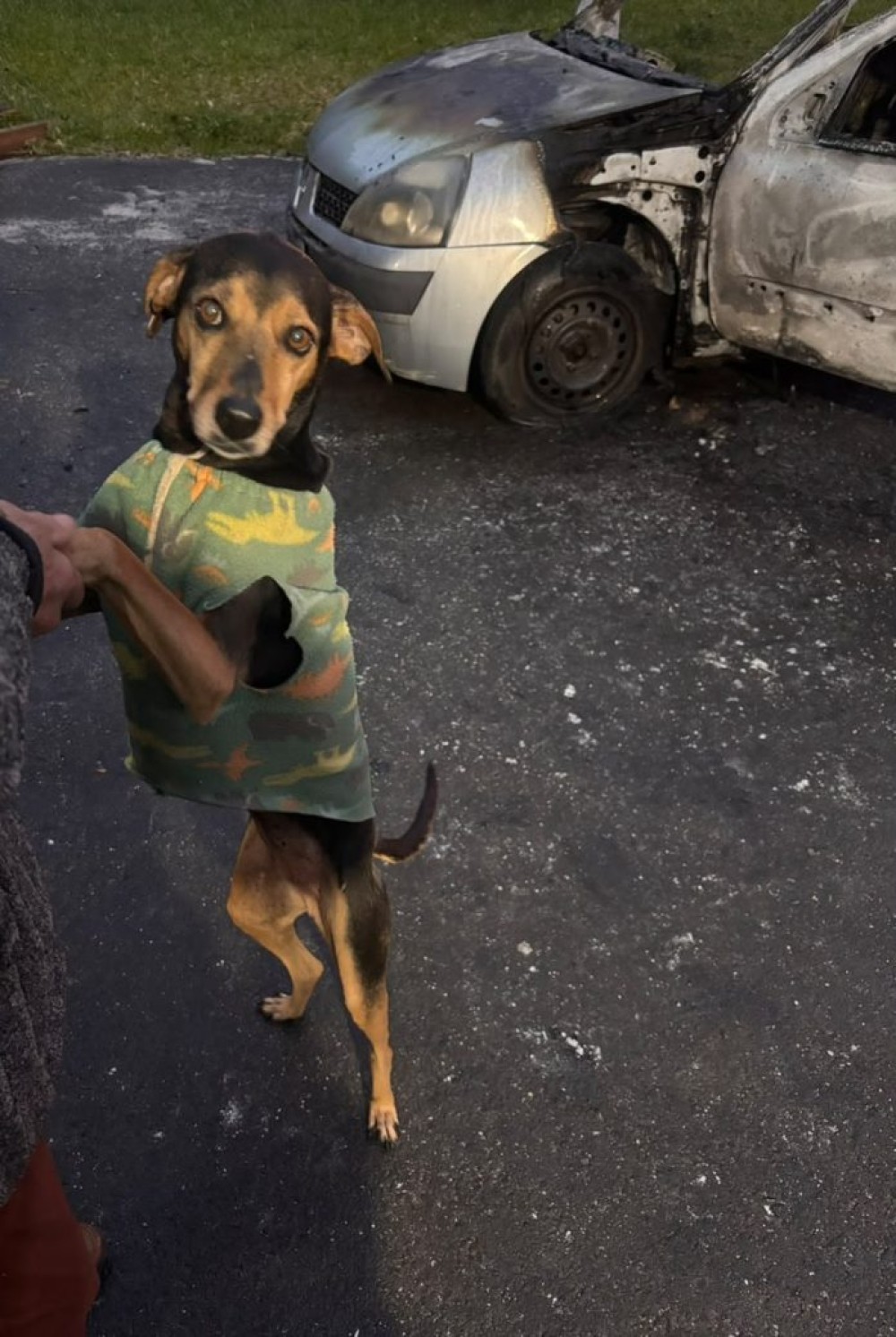 CRUELDADE: Homem ateia fogo em carro com cachorro dentro