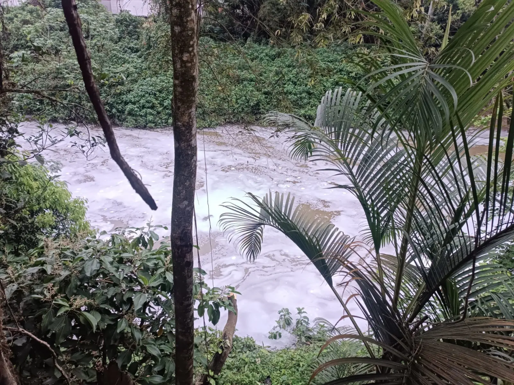 Fujama coleta amostras após identificar espuma no Rio Jaraguá