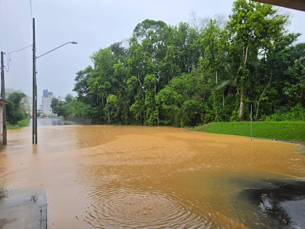 Rio Itapocu sobe mais de quatro metros e causa interdição de rua em Jaraguá do Sul