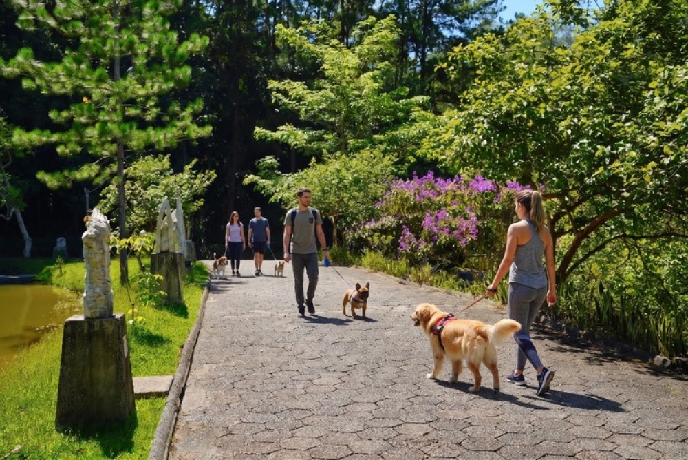 Cãominhada reúne pets e tutores em manhã de lazer e solidariedade no Parque Malwee