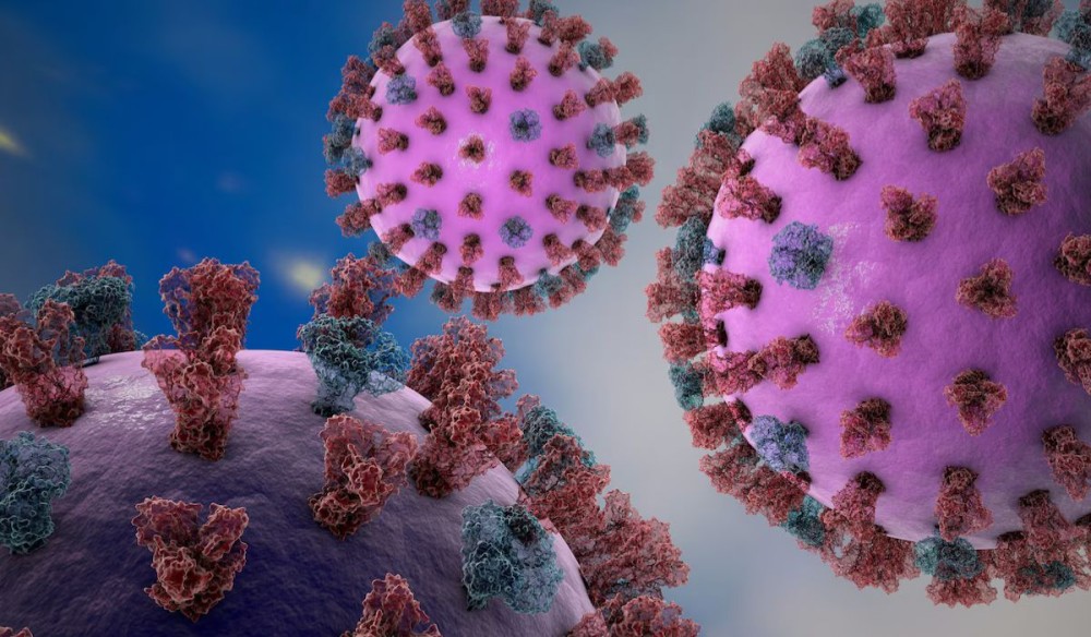 SC identifica e monitora 17 casos de Gripe K; entenda o que é e como se proteger