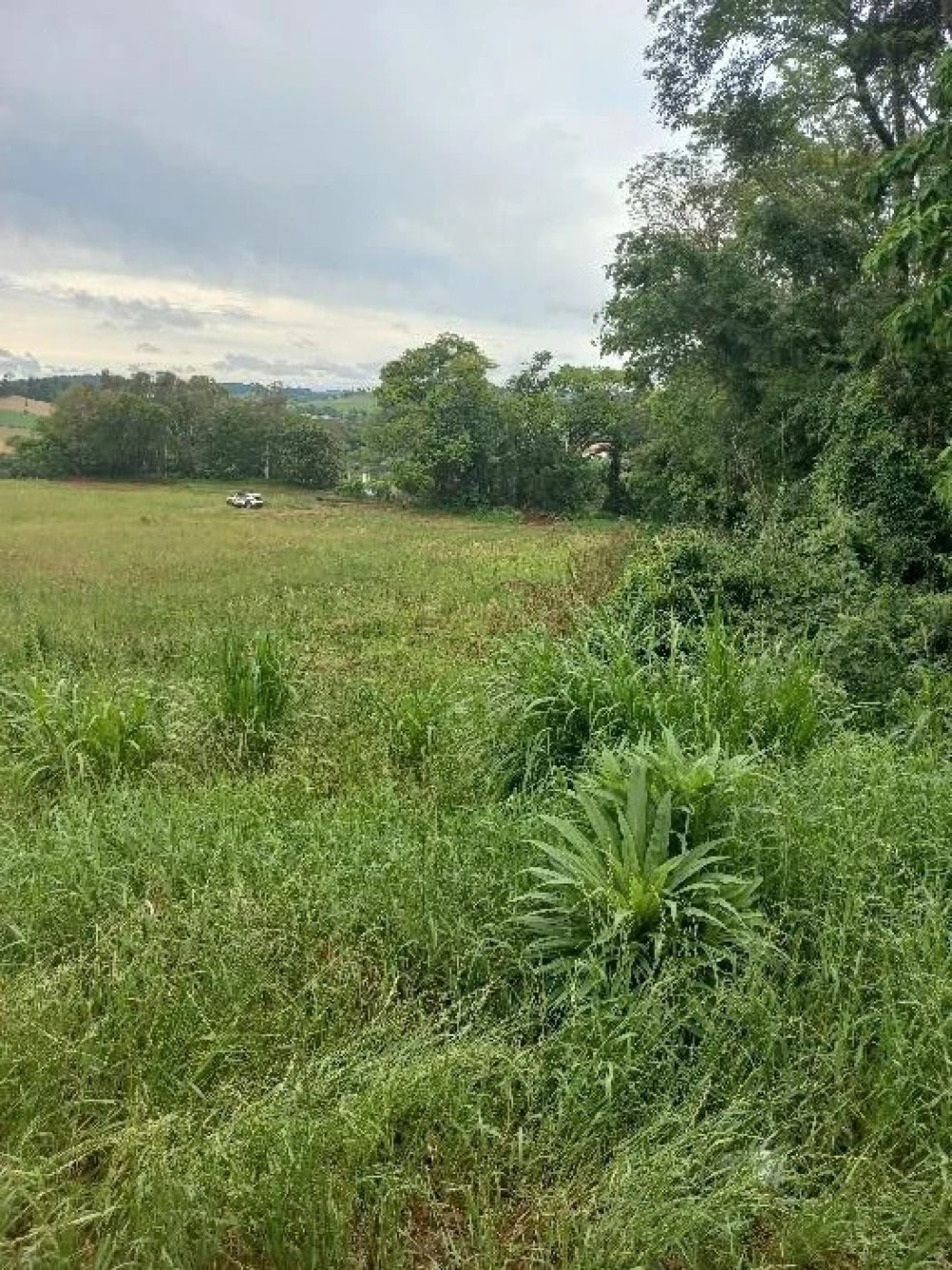 Corpo em decomposição é encontrado em propriedade rural de SC