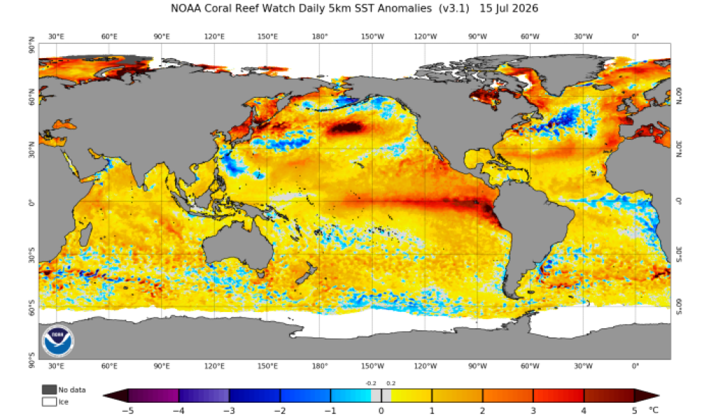 ATENÇÃO: Agência climática prevê 90% de chance de El Niño muito forte