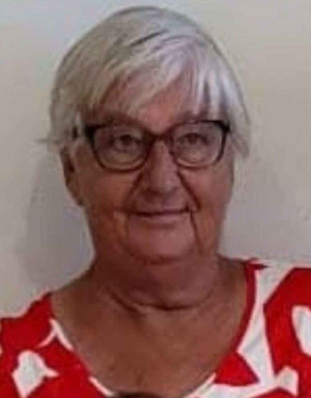 Morre Isolde Witthoft Kruger aos 79 anos em Jaraguá do Sul