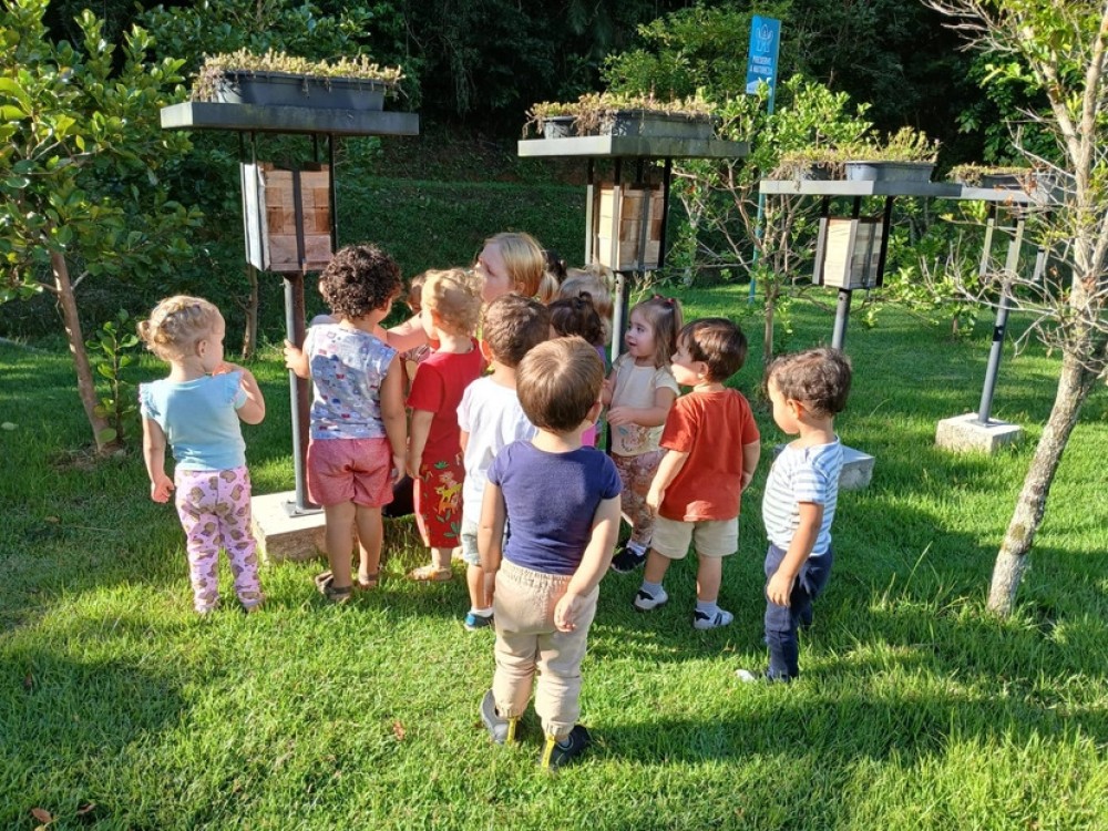 Pequenos exploradores descobrem o mundo das abelhas em CMEI de Jaraguá do Sul