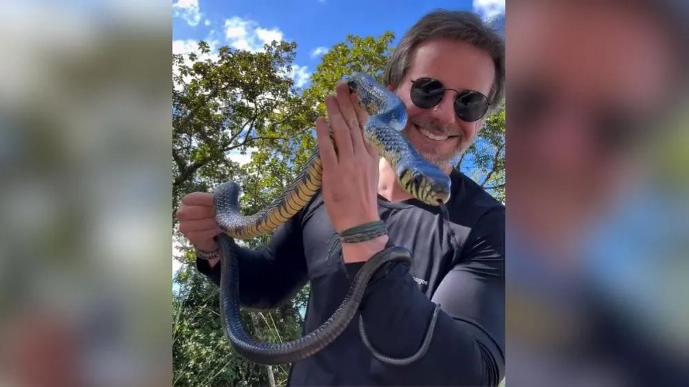 Cobra gigante sobe em telhado de casa e dá trabalho a biólogo em Jaraguá do Sul