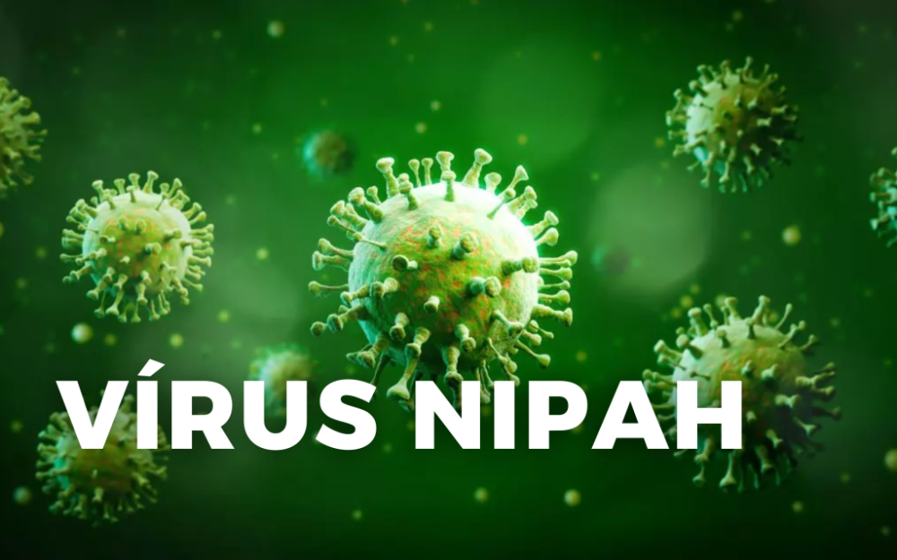 OMS atualiza risco global do vírus Nipah