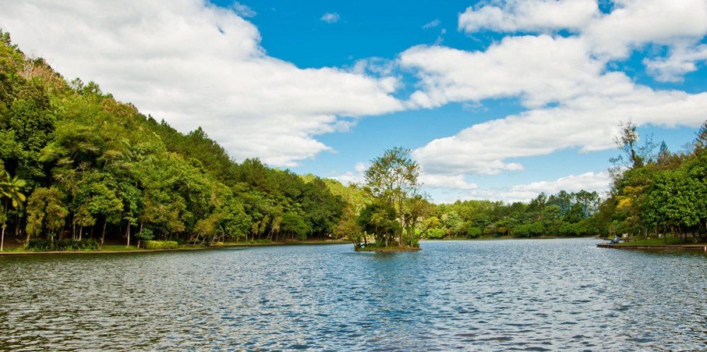 De arrozais a um dos maiores cartões-postais de Santa Catarina: a história do Parque Malwee, em Jaraguá do Sul
