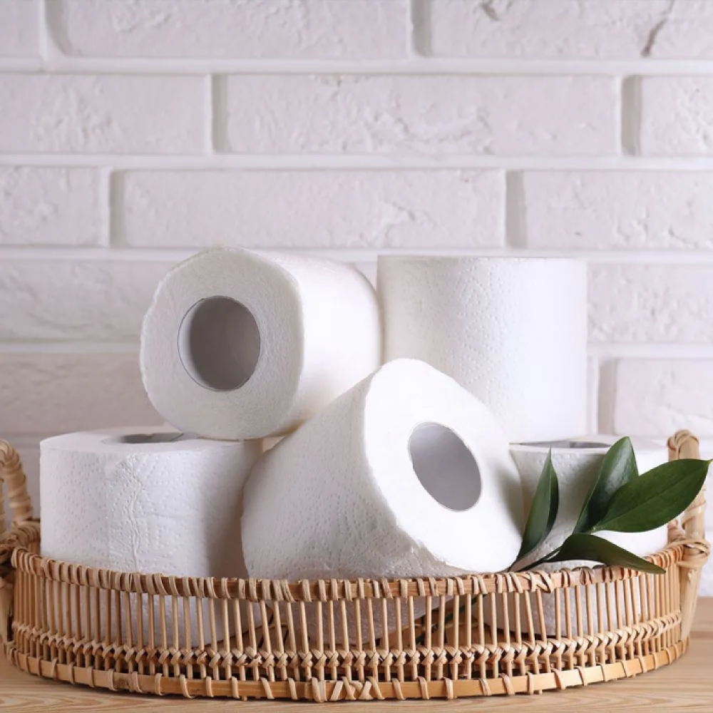 Jogar papel higiênico na privada: pode ou não pode?