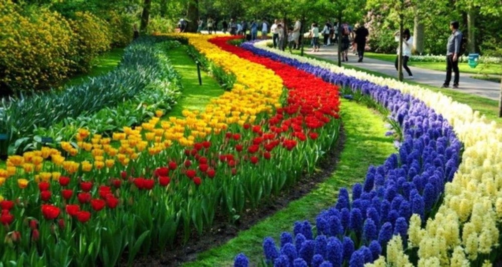 Chegou a primavera!