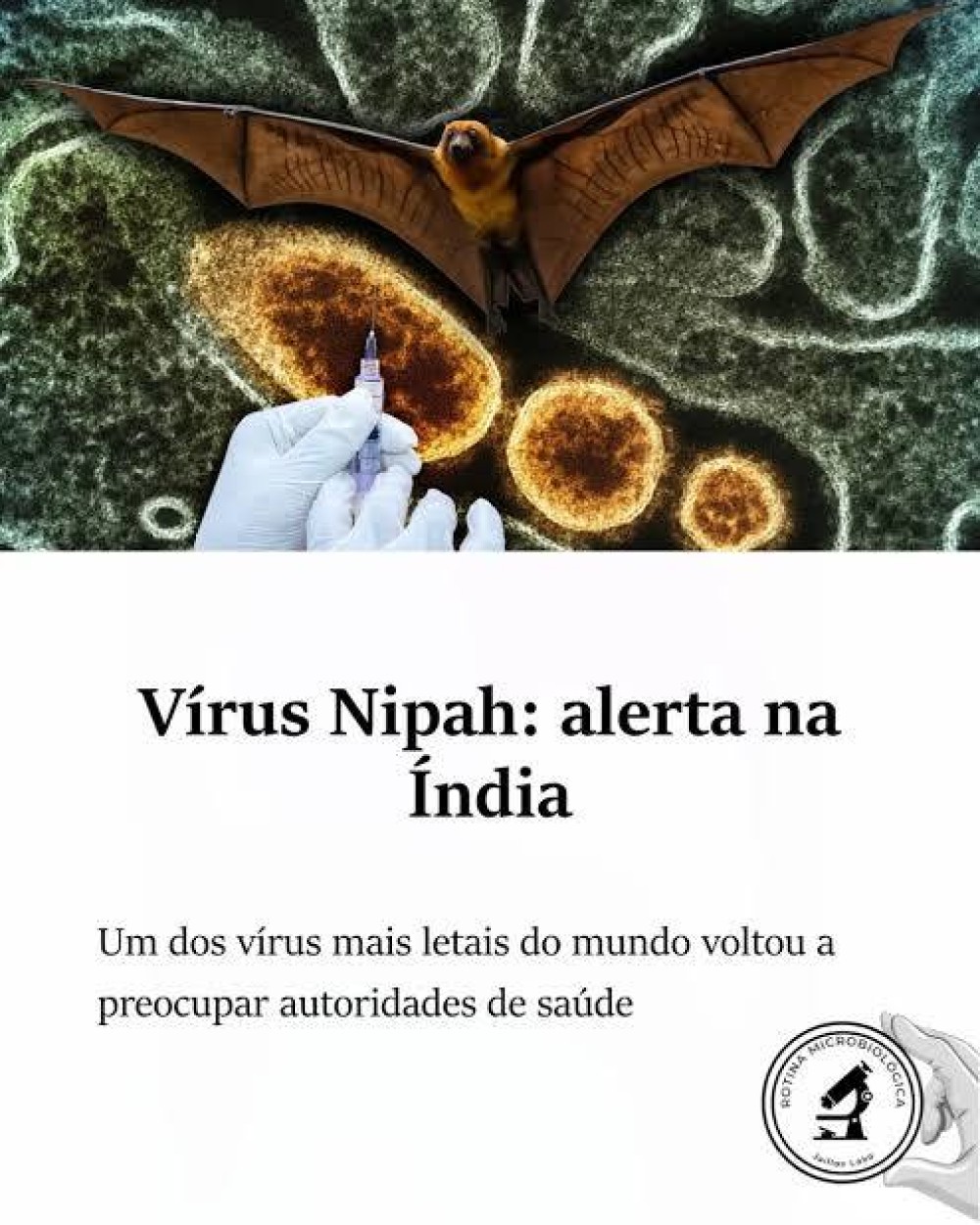 Um dos vírus mais letais do mundo voltou