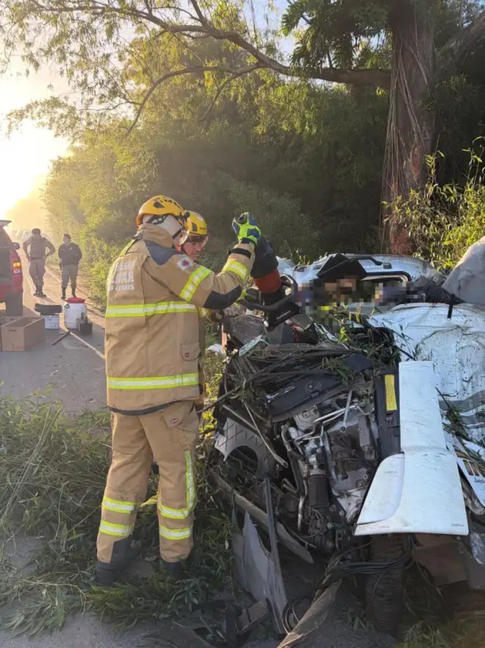 TRAGÉDIA: Motorista morre após carreta tombar e atingir árvore em rodovia