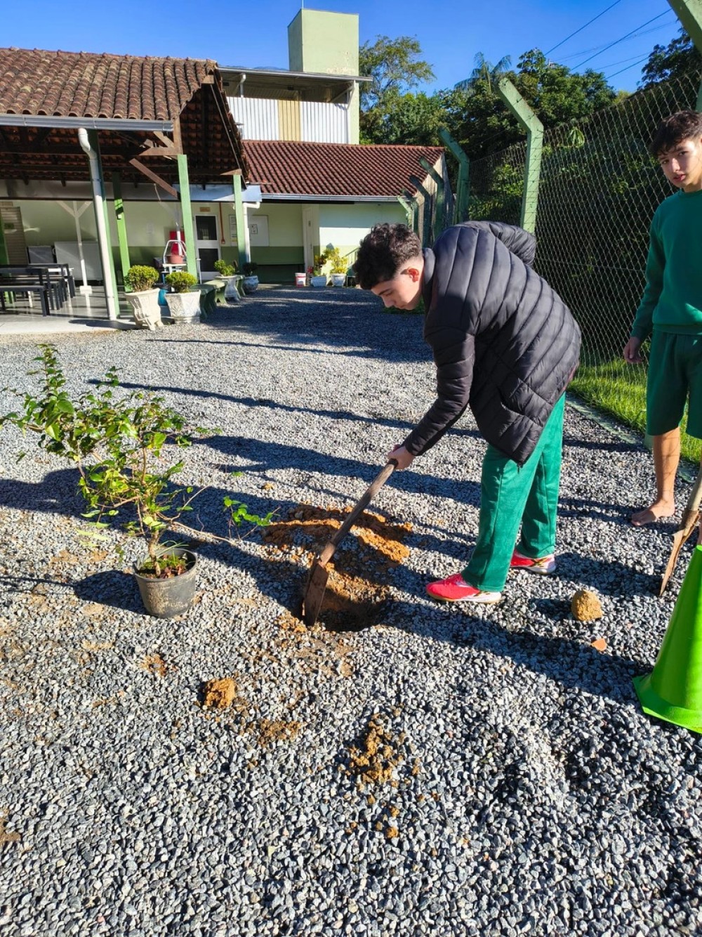Alunos celebram os 150 anos de Jaraguá do Sul com plantio de espécies nativas
