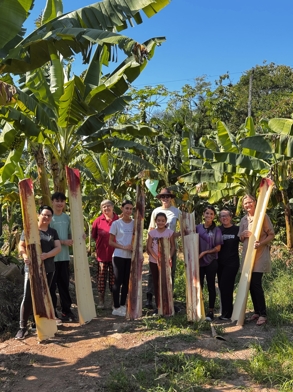 Da bananeira para as passarelas de Milão
