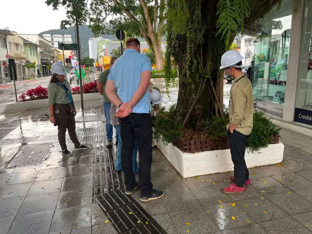 Jaraguá do Sul inicia levantamento de árvores em áreas públicas para criar Plano Municipal de Arborização