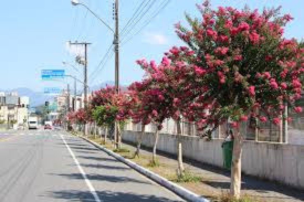 Outono começa amanhã: veja como vai ser a estação em todas as regiões do Brasil