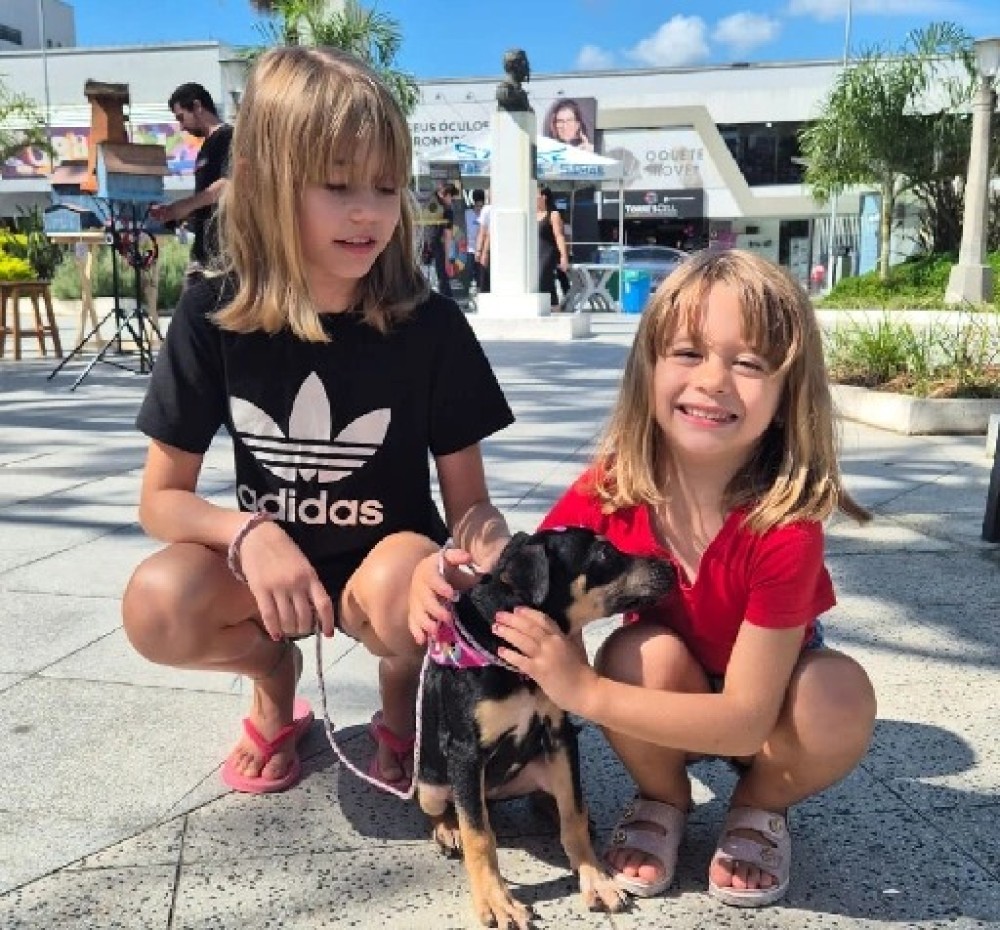 14 animais ganham novos lares por meio da feira de adoção da FUJAMA