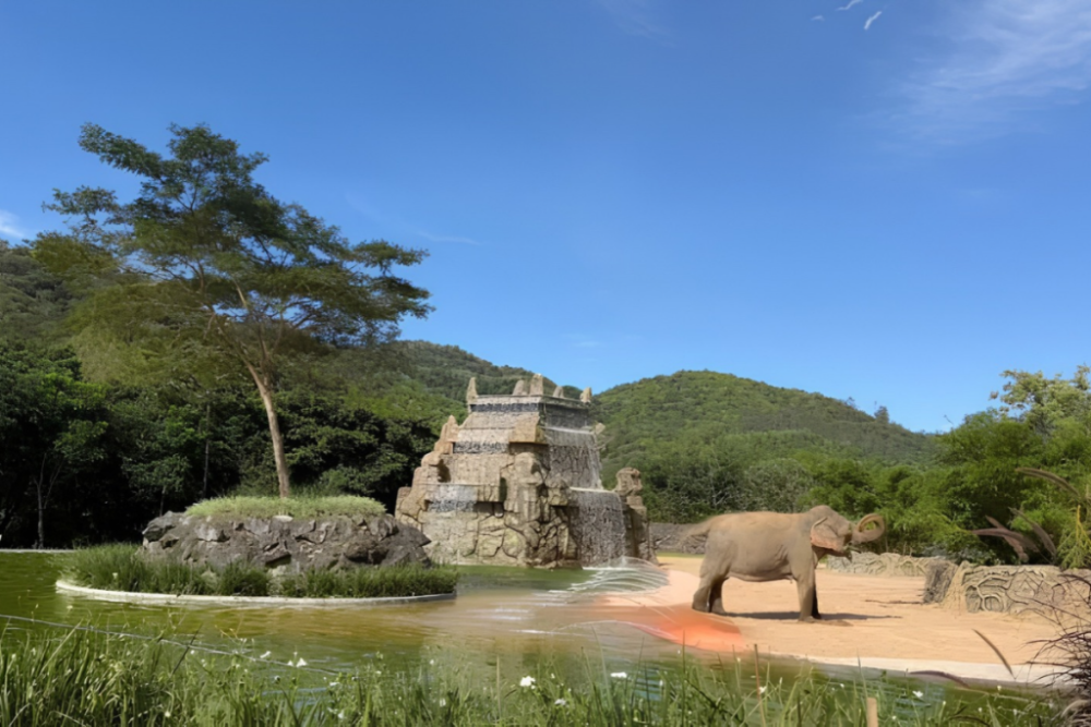 Elefanta Kênia ganha novo lar com piscina gigante e cachoeiras de 12 metros em Pomerode