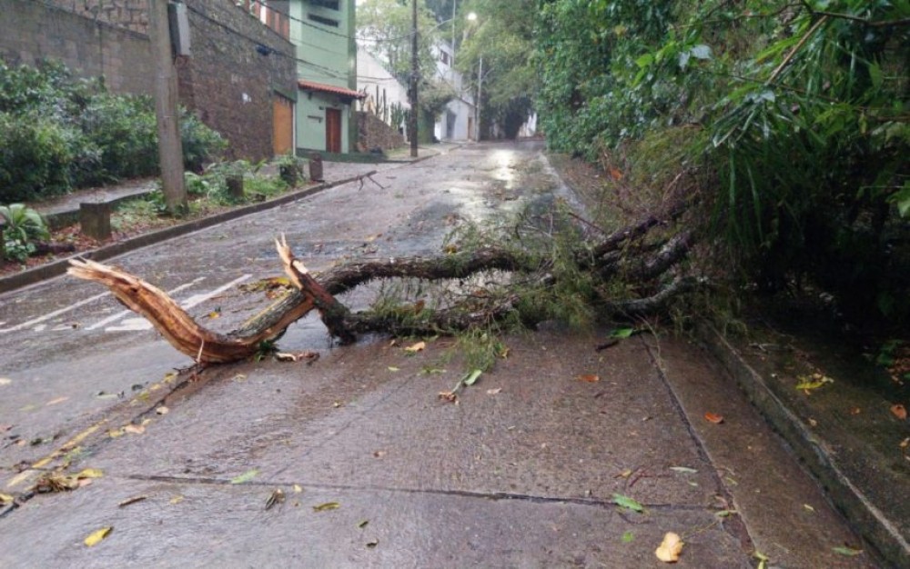 Defesa Civil confirma supercélula após temporal em SC; entenda o fenômeno