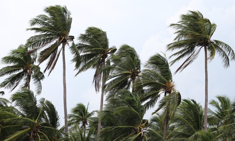 ALERTA de ciclone em Santa Catarina