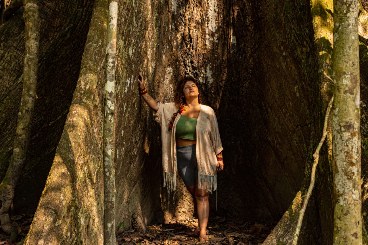 Instituto de Jaraguá do Sul promove painel com especialistas sobre a crise climática no país