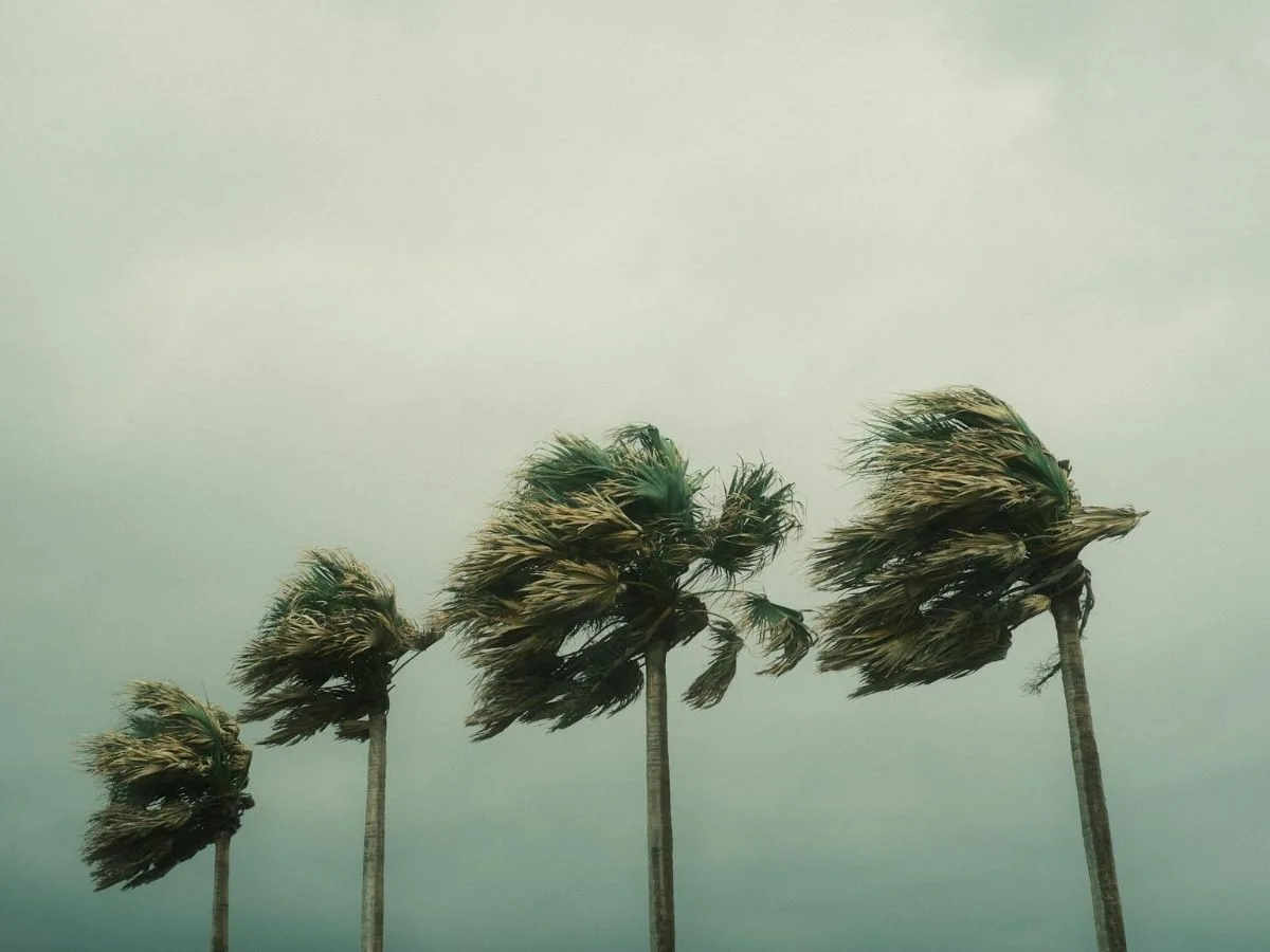 CUIDADO: Defesa Civil alerta para fortes rajadas de vento e chuva