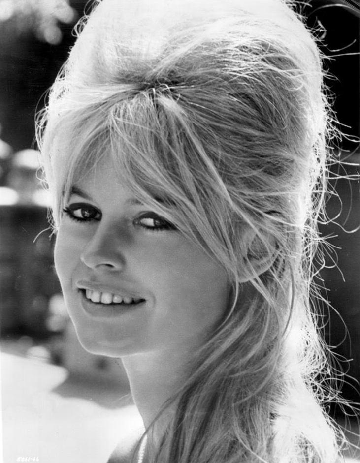Fortuna de Brigitte Bardot surpreende os fãs