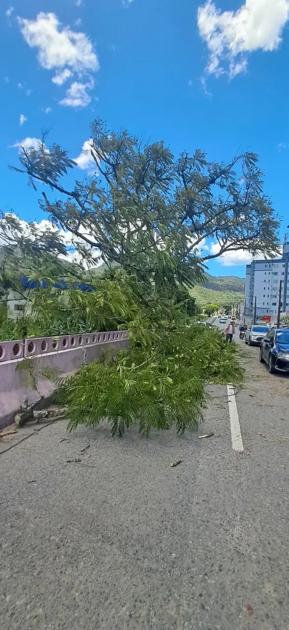 Ciclone extratropical: Defesa Civil registrou 16 ocorrências nas últimas horas em Jaraguá do Sul